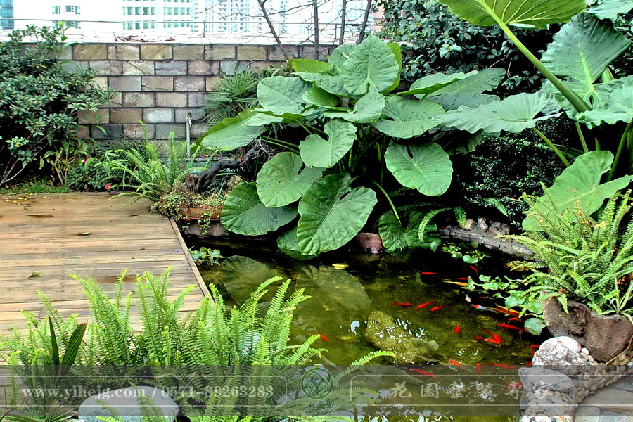 露臺花園｜露臺假山水溪景觀｜露臺木平臺景觀設(shè)計(jì)｜私家小露臺景觀綠化