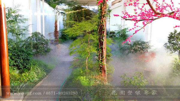 這樣的室內(nèi)庭院，簡直讓我尖叫！